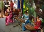 Українцям показали вьєтнамські музичні інструменти
